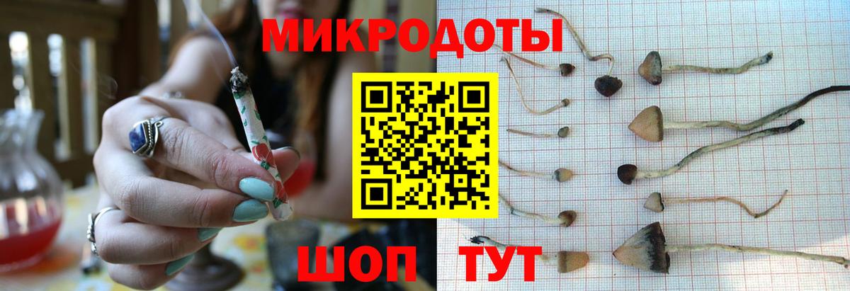 Псилоцибиновые грибы мухоморы  Вход с VPN  закладка  Полевской 